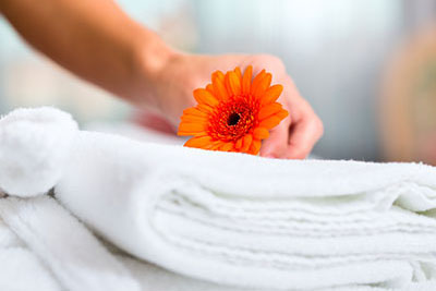 Laundry service